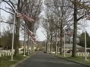 Avenue of Flags at Woodlawn National Cemetery